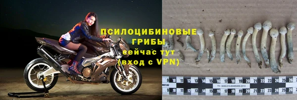 2c-b Беломорск