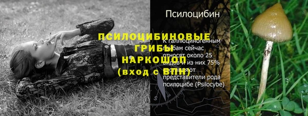 молекула духа Балабаново